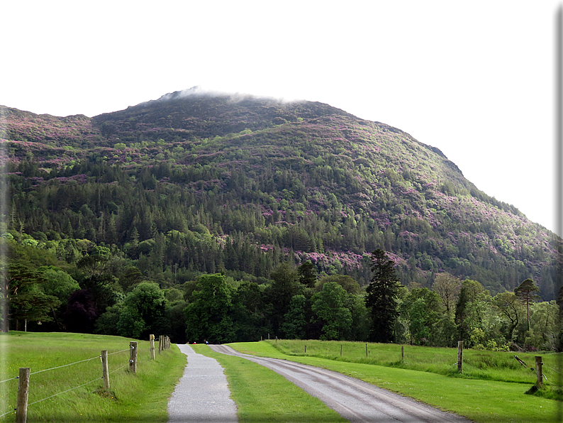 foto Parco di Killarney